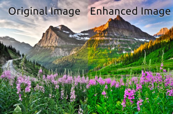 Canvas Wall Art | Covers Five Canvases - Image 3